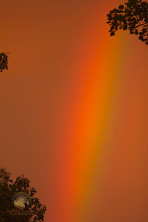 Rainbow, Exeter, RI copyright ronaldzinconephotography