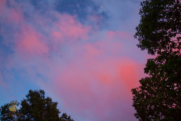 Beautiful light no3copyright ronaldzinconephotography