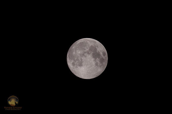earth's satellite copyright ronaldzinconephotography