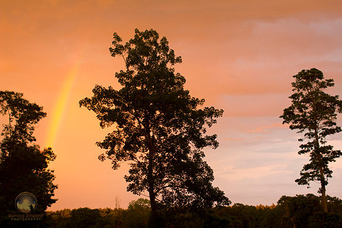 Rainbow, Exeter, RI copyright ronaldzinconephotography