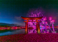 Epcot fireworks copyright ronaldzinconephotography