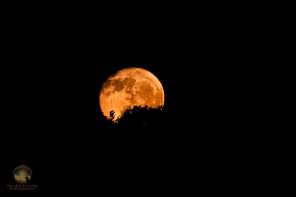 Full Moon rising in East copyright ronaldzinconephotography