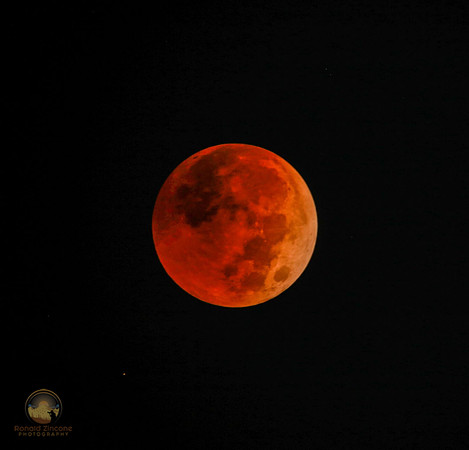 Total Lunar Eclipse of November 8, 2022 copyright ronaldzinconephotography