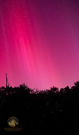 Aurora Borealis 081224 copyright ronaldzinconephotography