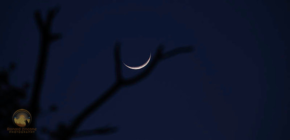 Crescent 2.5 day 7% Moon 2026 copyright ronaldzinconephotography