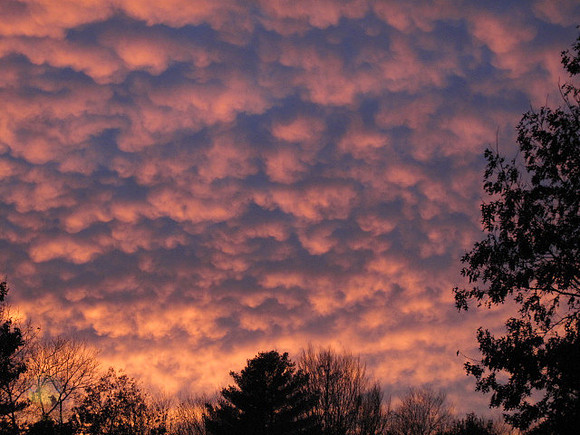Richmond sunset copyright ronaldzinconephotography
