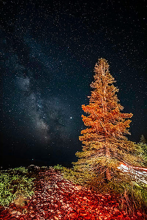 Summer Milky Way and Jupiter over Seawall Beach, Arcadia, Maine