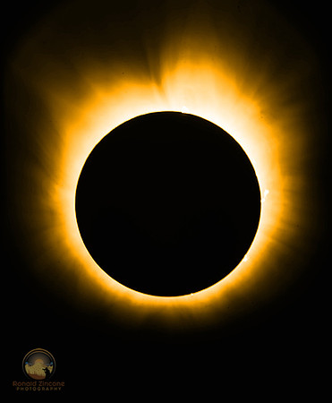 Total Solar Eclipse and Totality, 4/8/24, Plano TX copyright ronaldzinconephotography