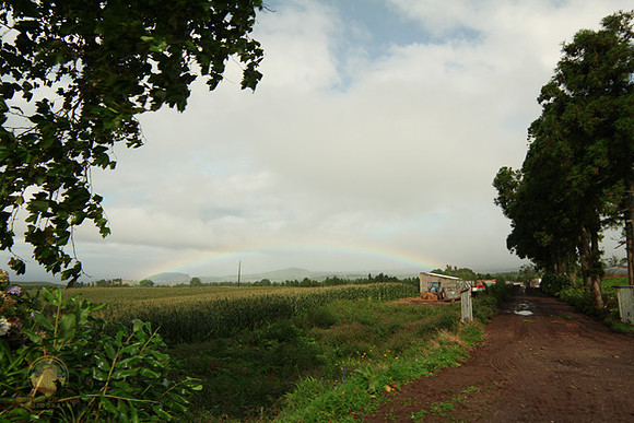 Rainbow over San Maguel, AZORES copyright ronaldzinconephotography
