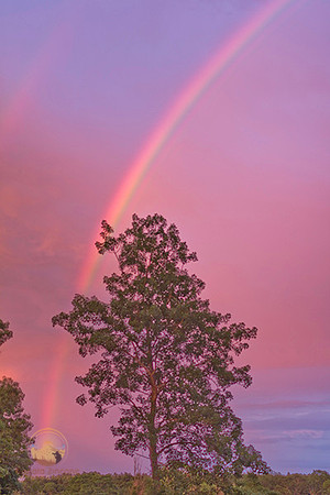 Double rainbow over Exeter, RI no2 copyright ronaldzinconephotography
