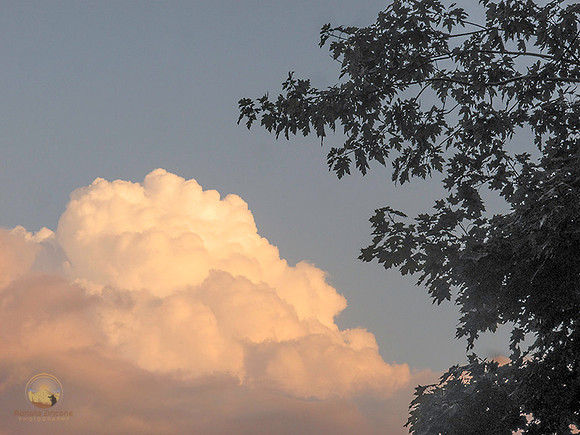 Thunderstorm copyright ronaldzinconephotography