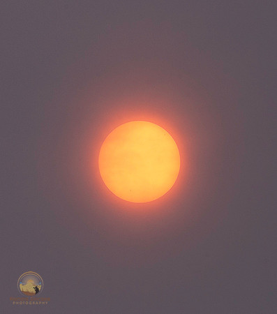 Wildfire Sun, Bass Harbor, Acadia, Maine copyright ronaldzinconephotography