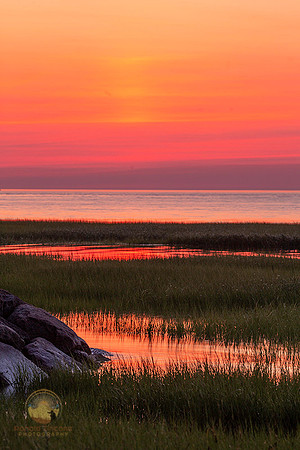 Sunset Silhouette at Paine's Creek copyright ronaldzinconephotography