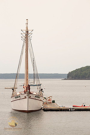 Margaret Todd at Bar Harbor copyright ronaldzinconephotography