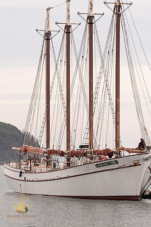Margaret Todd at Bar Harbor copyright ronaldzinconephotography