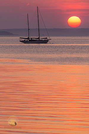 Sailboat at sunrise NKTB copyright ronzinconephotography