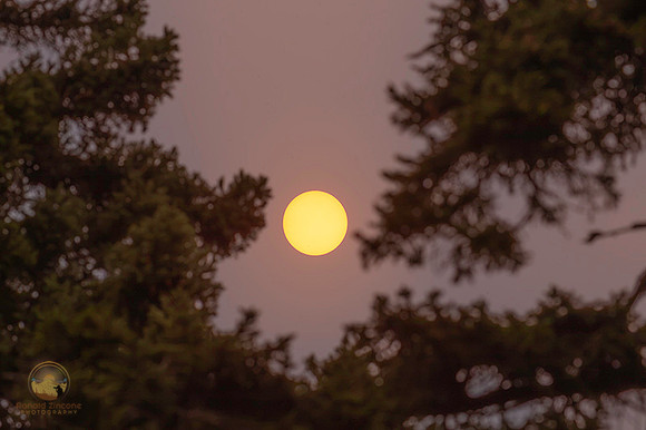 Wildfire Sun at Bass Harbor, Acadia, Maine copyright ronaldzinconephotography