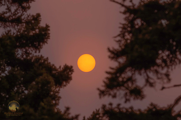 Wildfire Sun at Bass Harbor, Acadia, Maine copyright ronaldzinconephotography