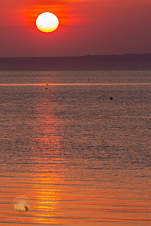Sunrise at NKTB copyright ronzinconephotography