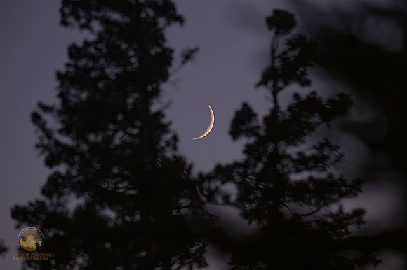 9.7% Crescent Moon over Bass Harbor Campground copyright ronaldzinconephotography