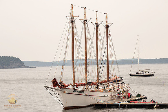 Margaret Todd at Bar Harbor copyright ronaldzinconephotography
