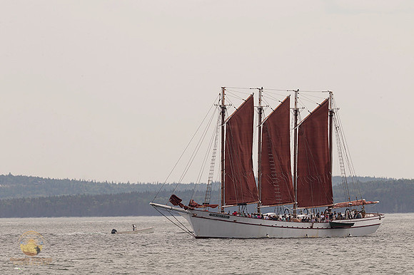Margaret Todd at Bar Harbor copyright ronaldzinconephotography