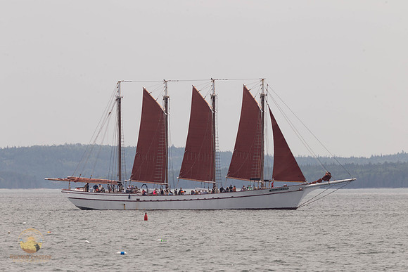 Margaret Todd at Bar Harbor copyright ronaldzinconephotography