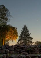 3.7% crescent moon with Venus over Exeter copyright ronzinconephotography
