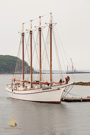 Margaret Todd at Bar Harbor copyright ronaldzinconephotography