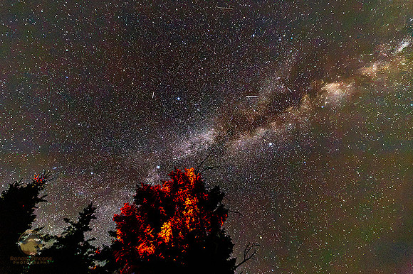Summer Milky Way over Bass Harbor, Acadia, Maine copyright ronaldzinconephotography