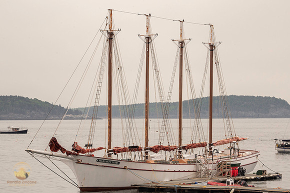 Margaret Todd at Bar Harbor copyright ronaldzinconephotography