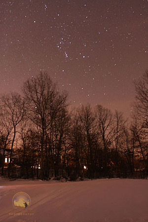 Orion and Sirius winter landscape Copyright ronaldzinconephotography