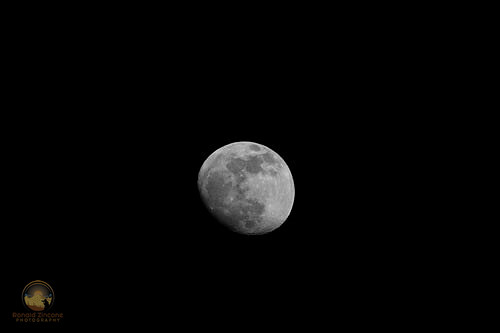 Moon from Camp Cronin, Narragansett, RI  Copyright ronaldzinconephotography