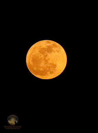 Moon at perigee  Copyright ronaldzinconephotography