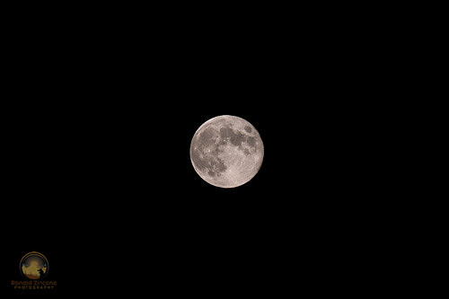 The Harvest Moon copyright ronaldzinconephotography