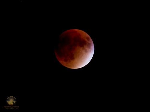 Totality stage of total lunar eclipse copyright ronaldzinconephotography