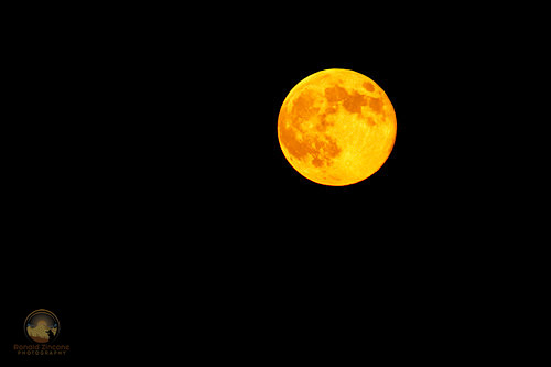 Supermoon  Copyright ronaldzinconephotography