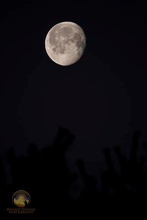 Moon at 800mm  Copyright ronaldzinconephotography