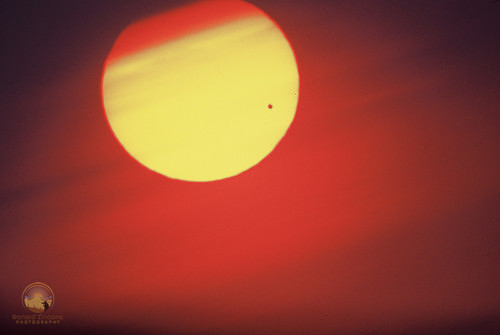 Venus transits the Sun 2004 Copyright ronaldzinconephotography