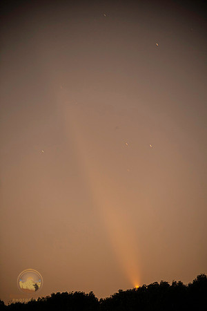 Comet T-Atlas C/2023 A3 on 10/12/24 copyright ronaldzinconephotography