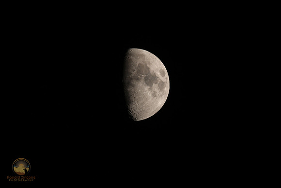 Copyright ronaldzinconephotography
