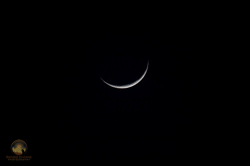 Young moon Copyright ronaldzinconephotography