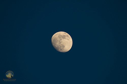 The moon from Virginia Beach Copyright ronaldzinconephotography