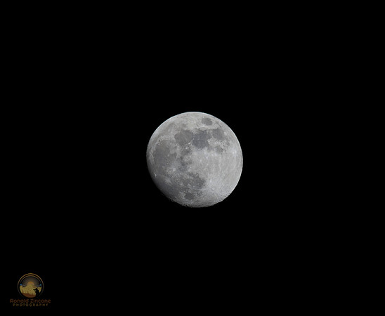 Almost full moon  Copyright ronaldzinconephotography
