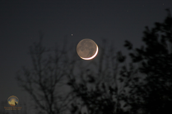20-day crescent moon with earthshine, Richmond, RI Copyright ronaldzinconephotography