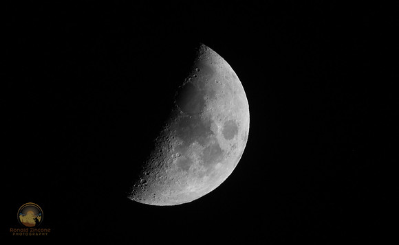 Copyright ronaldzinconephotography