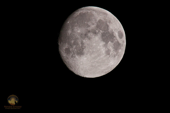Lady or Man in the Moon?  Copyright ronaldzinconephotography