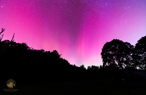 Aurora Borealis 081224 copyright ronaldzinconephotography