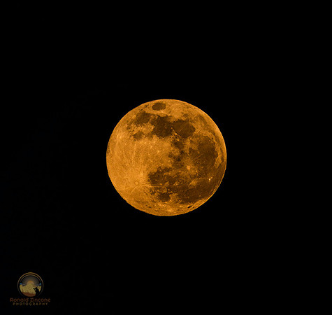 Full Pink moon, North Kingstown town beach, RI copyright ronaldzinconephotography