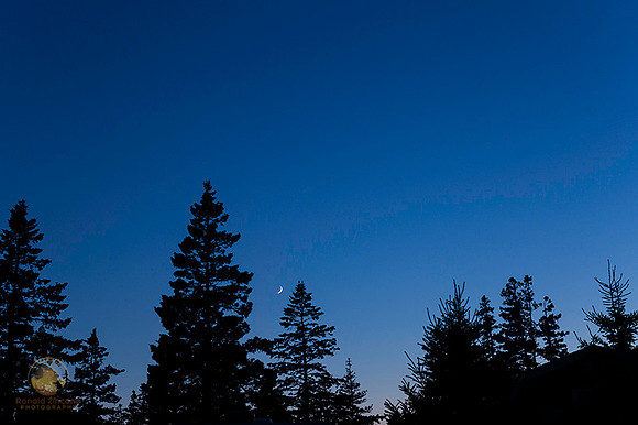 Crescent moon over Bass Harbor Campgrounds no1  copyright ronaldzinconephotography